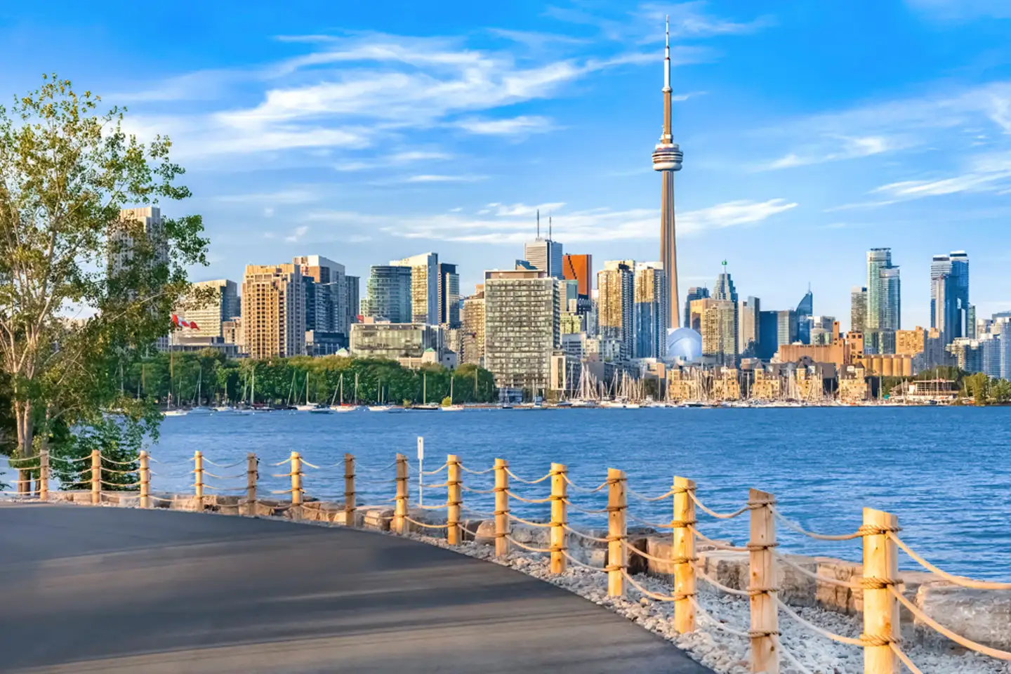 The Toronto skyline